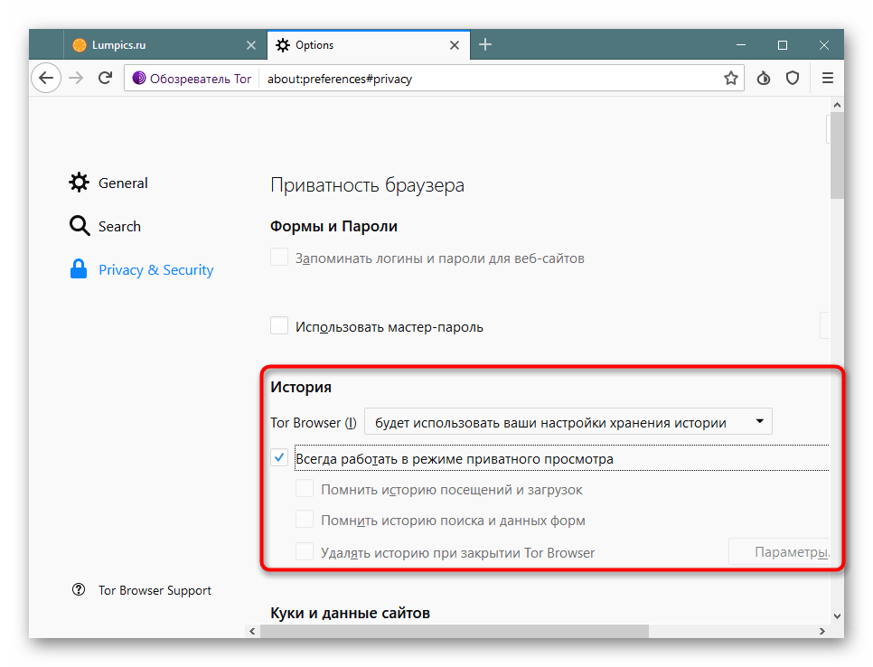 Настройка сохранения истории поиска в Tor Browser