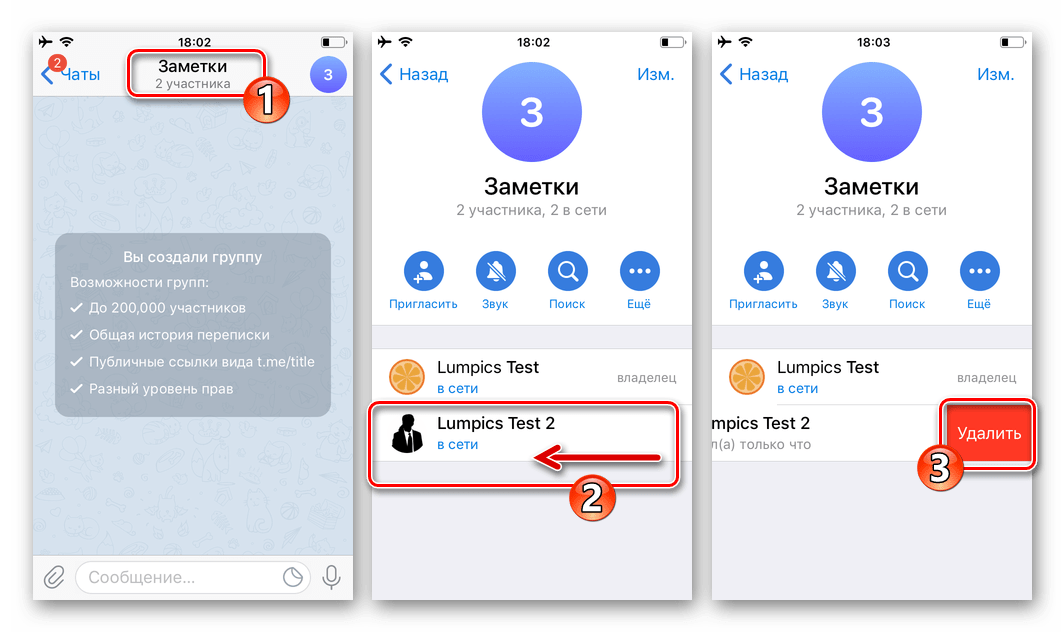 Telegram для iOS удаление пользователя из группового чата в мессенджере
