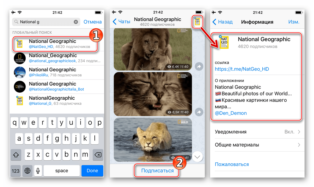 Telegram для iPhone подписка на канал, найденный через поиск в мессенджере