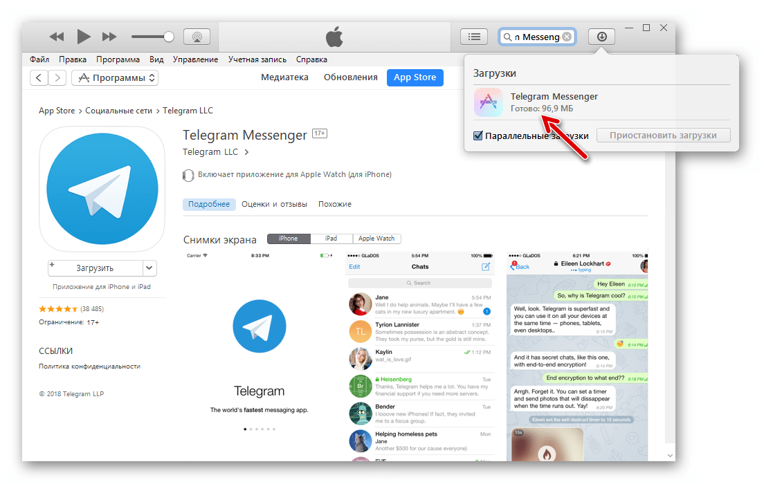 Telegram для iPhone iTunes 12.6.3.6 загрузка мессенджера на диск ПК завершена