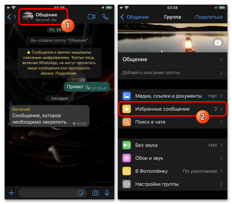 Как закрепить сообщение в Ватсапе_011