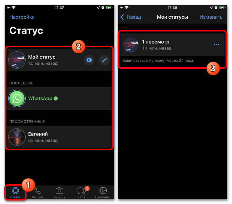 Как посмотреть статус в Ватсапе_009