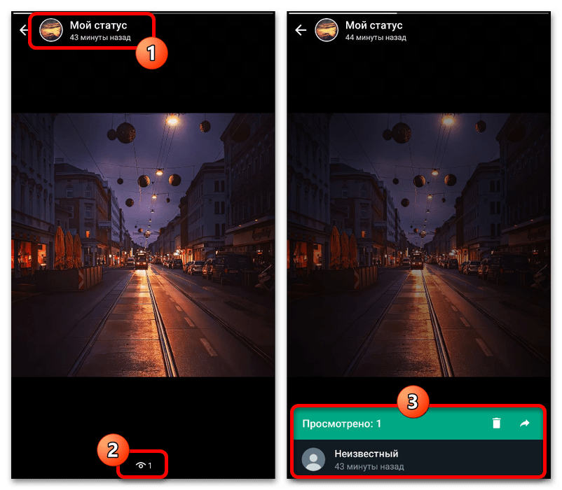 Как посмотреть статус в Ватсапе_002