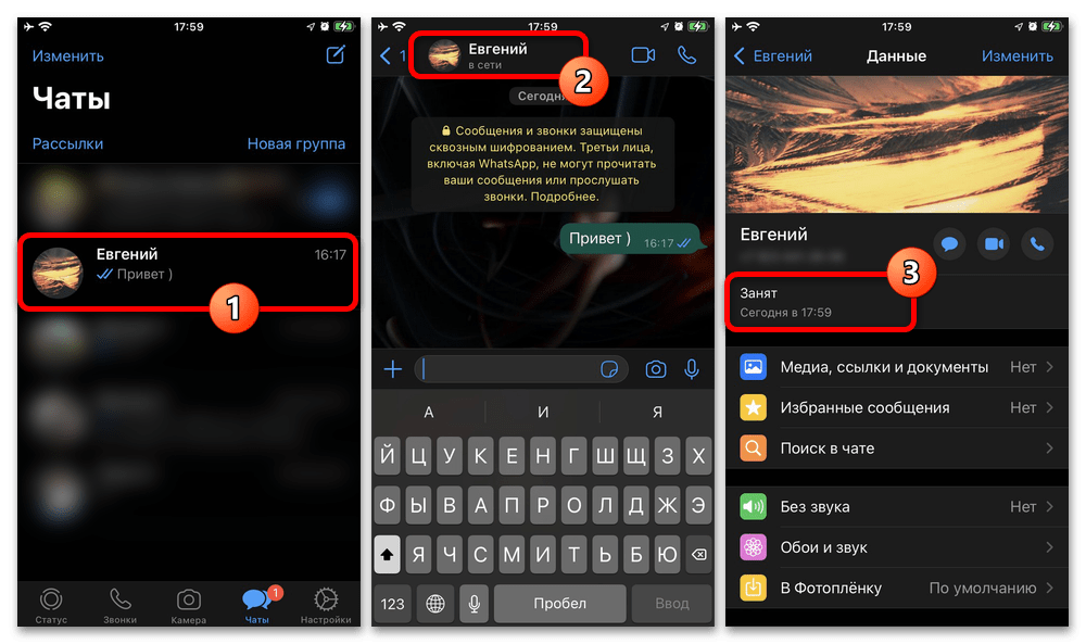 Как посмотреть статус в Ватсапе_013
