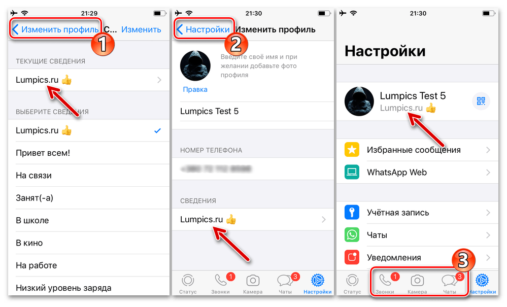 WhatsApp для iPhone - Выход из настроек мессенджера после выбора или ввода и установки своего текстового статуса в сервисе