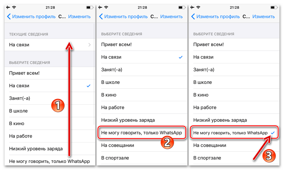 WhatsApp для iPhone - Установка своего текстового статуса из шаблонных надписей в настройках мессенджера