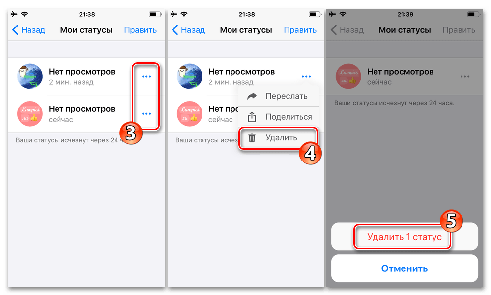 WhatsApp для iPhone - удаление графического статуса из мессенджера до истечения 24-х часов его существования