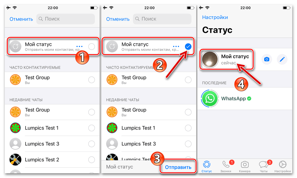 WhatsApp для iPhone размещение фото или видео в качестве графического статуса в мессенджере