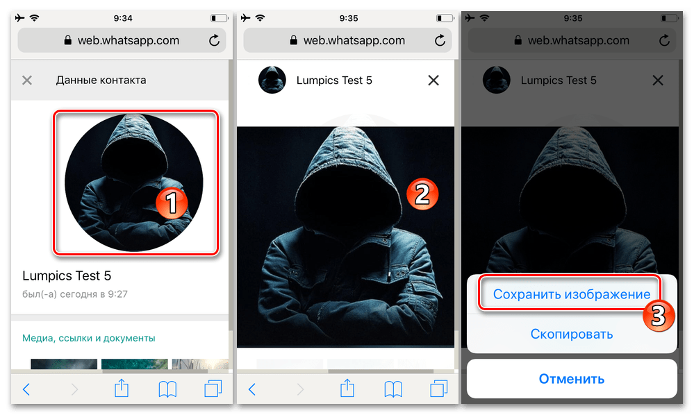WhatsApp скачивание аватарки другого пользователя мессенджера на iPhone через сервис WhatsApp Web