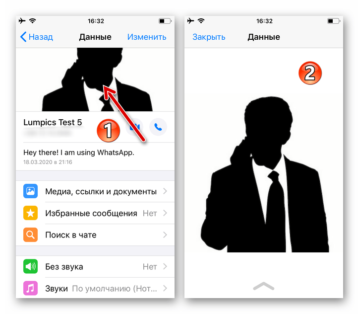 WhatsApp для iPhone переход к полноэкранному просмотру фото профиля собеседника в мессенджере