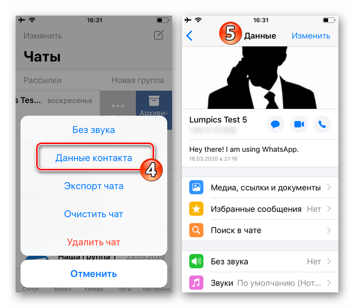 WhatsApp для iPhone пункт Данные контакта в меню Еще чата