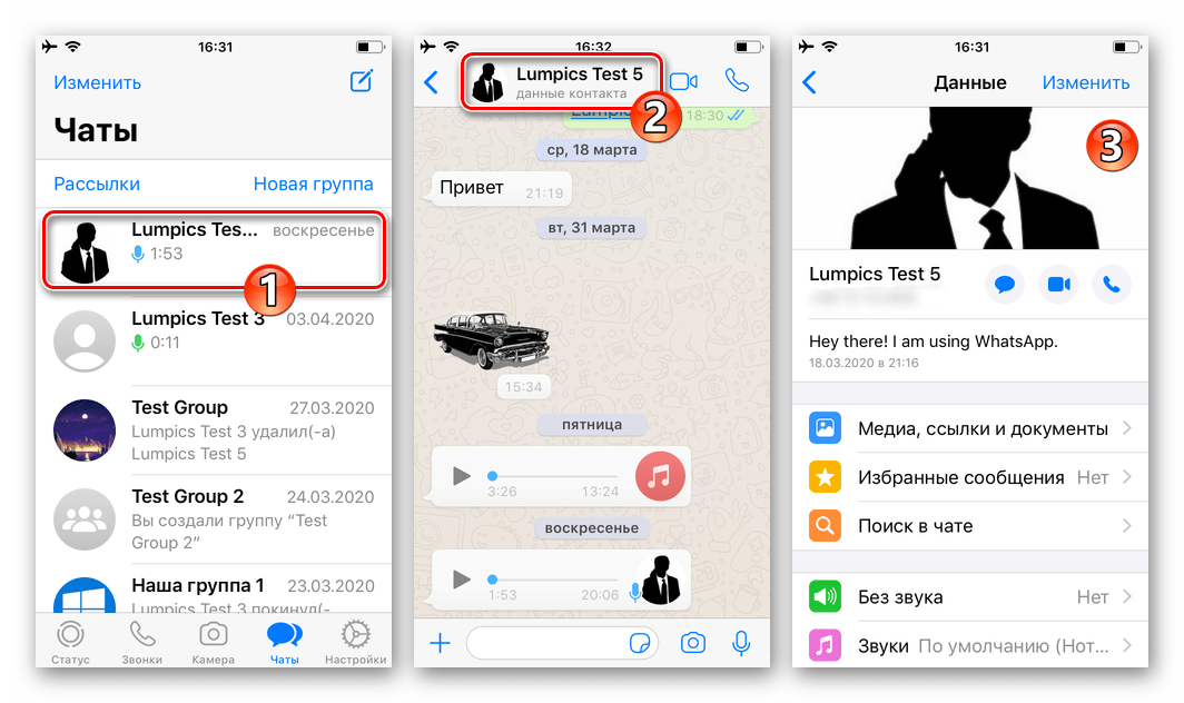 WhatsApp для iPhone Перейти к Данным контакта в экрана чата с ним