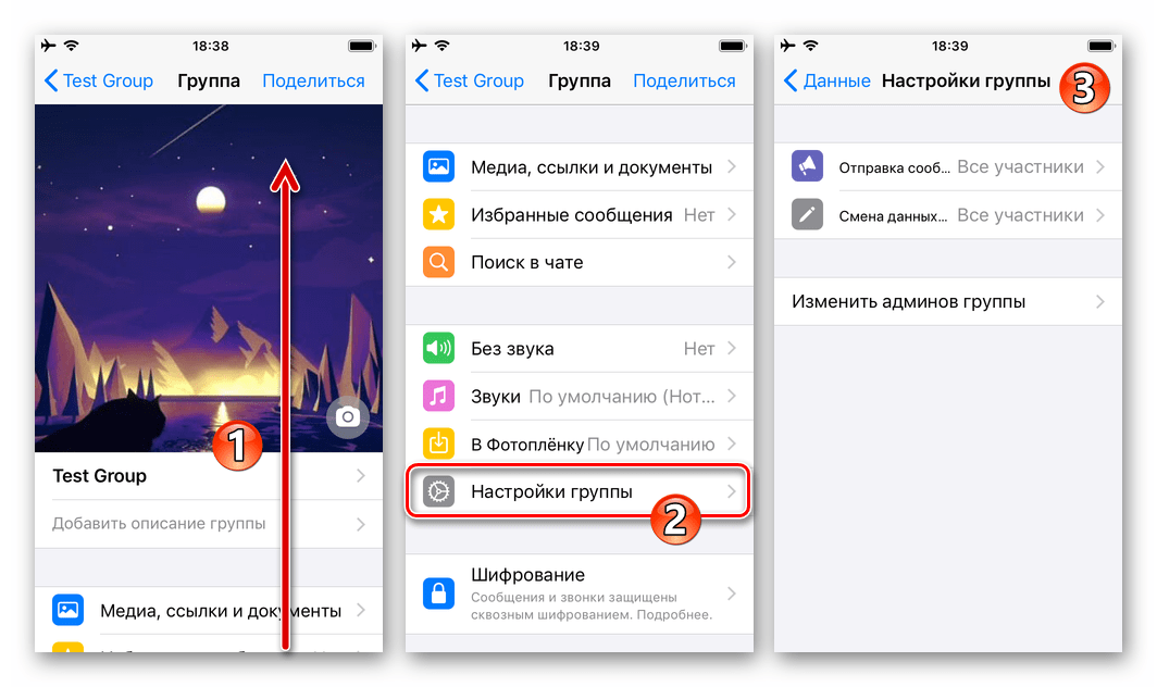 WhatsApp для iOS - раздел Настройки группы на экране Данные группового чата