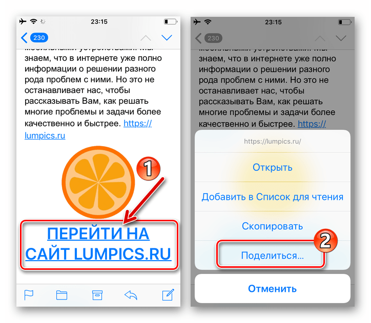 WhatsApp для iPhone как Поделиться через мессенджер полученной по электронной почте ссылкой