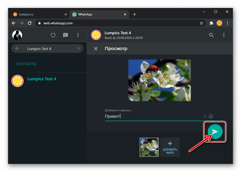 WhatsApp Web отправка фото с диска ПК через мессенджер