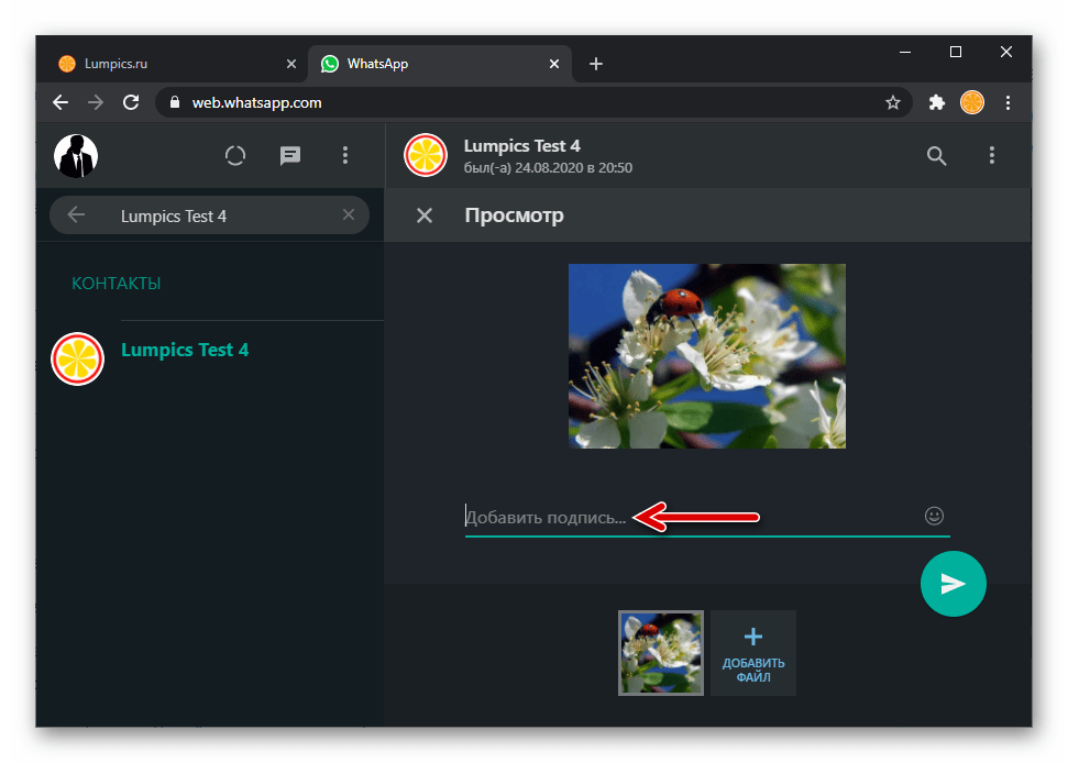 WhatsApp Web добавление подписи к отправляемой через мессенджер фотографии