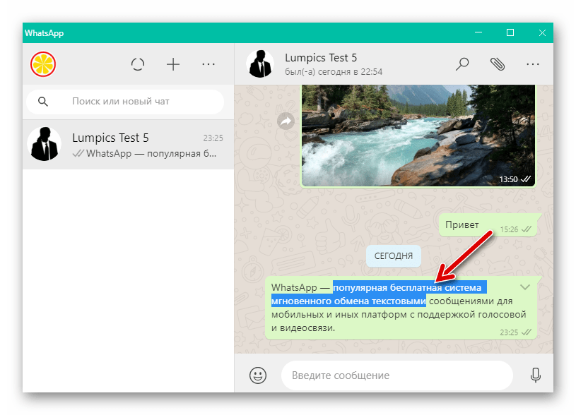 WhatsApp для Windows выделение текста в полученном или отправленном сообщении
