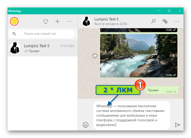 WhatsApp для Windows выделение слова в сообщении путем двойного клика по нему