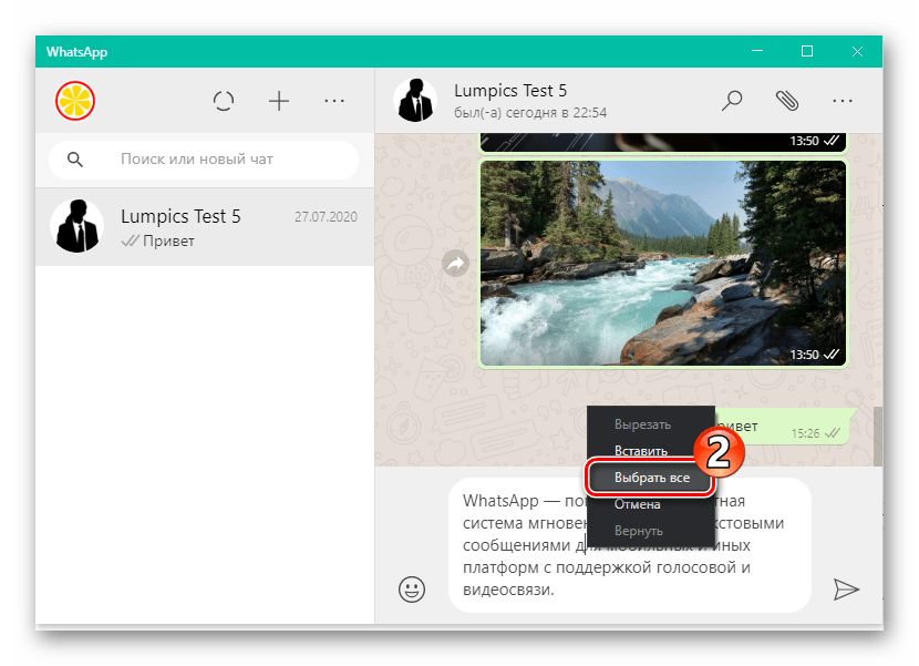 WhatsApp для Windows пункт Выбрать все в контекстном меню отправляемого сообщения