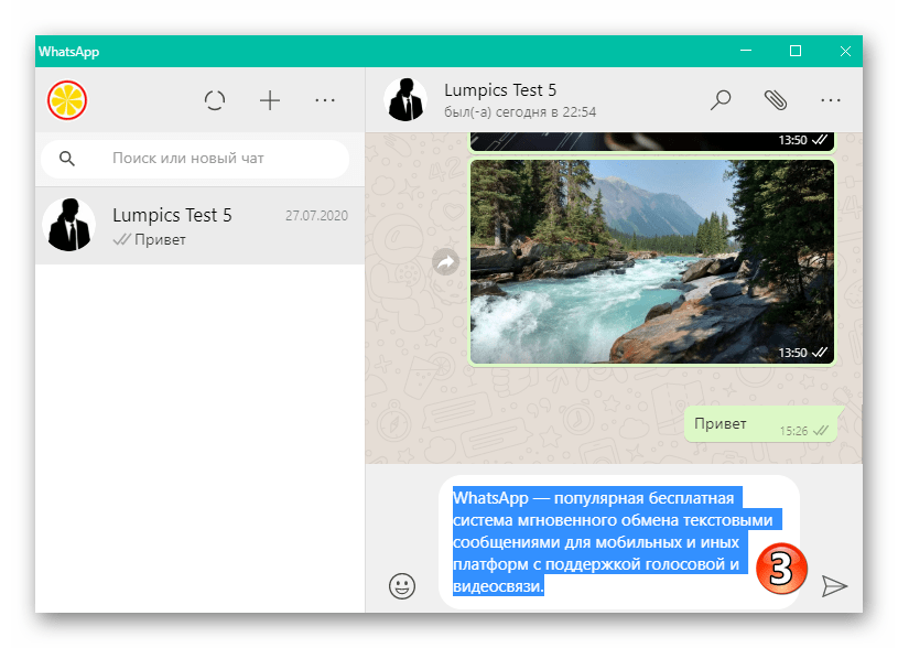 WhatsApp для Windows полностью выделенный с помощью контекстного меню текст сообщения