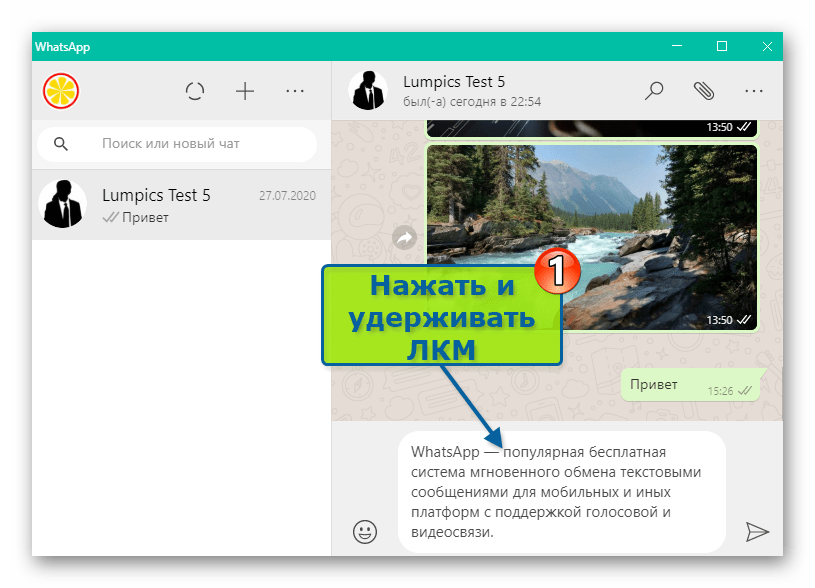 WhatsApp для Windows выделение фрагмента текста сообщения мышью