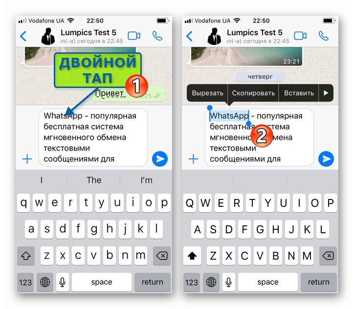 WhatsApp для iPhone выделение отдельного слова из подготавливаемого для отправки через мессенджер сообщения