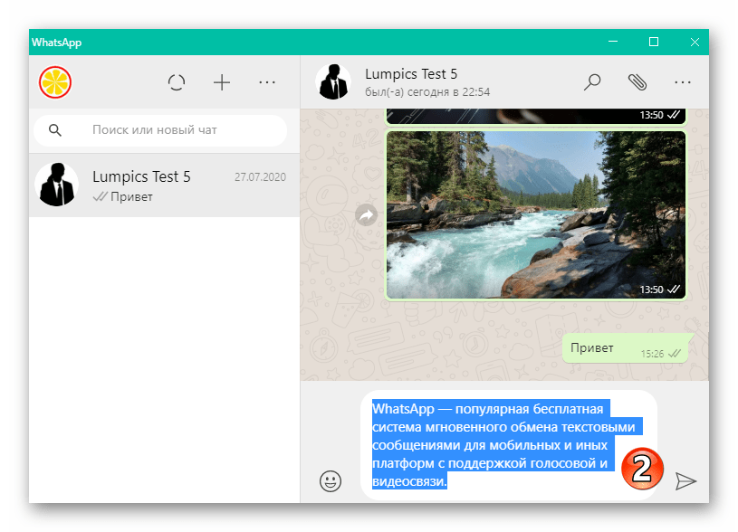 WhatsApp для Windows полностю выделенный с помощью тройного клика мышью текст сообщения в мессенджере