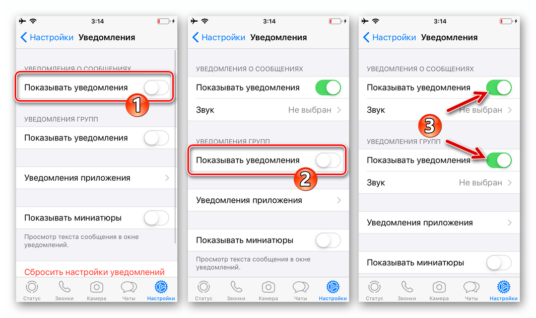 WhatsApp для iOS активация опций Показывать уведомления в настройках мессенджера