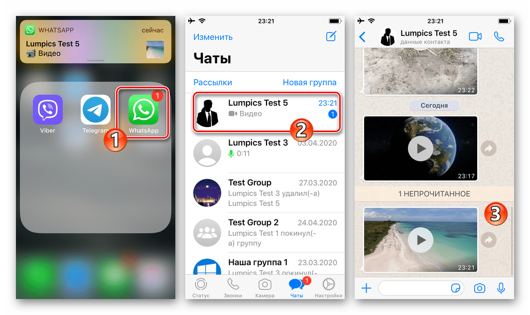 WhatsApp для iOS запуск мессенджера, переход в чат с видео