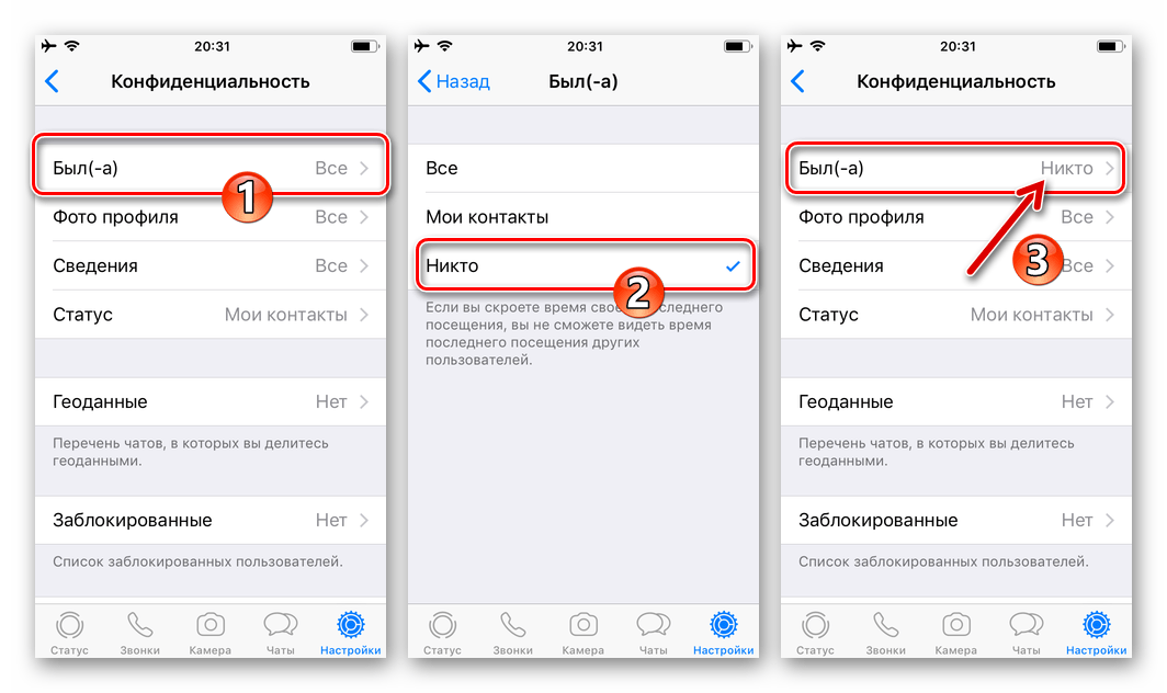 WhatsApp для iPhone деактивация трансляции данных о времени посещения мессенджера
