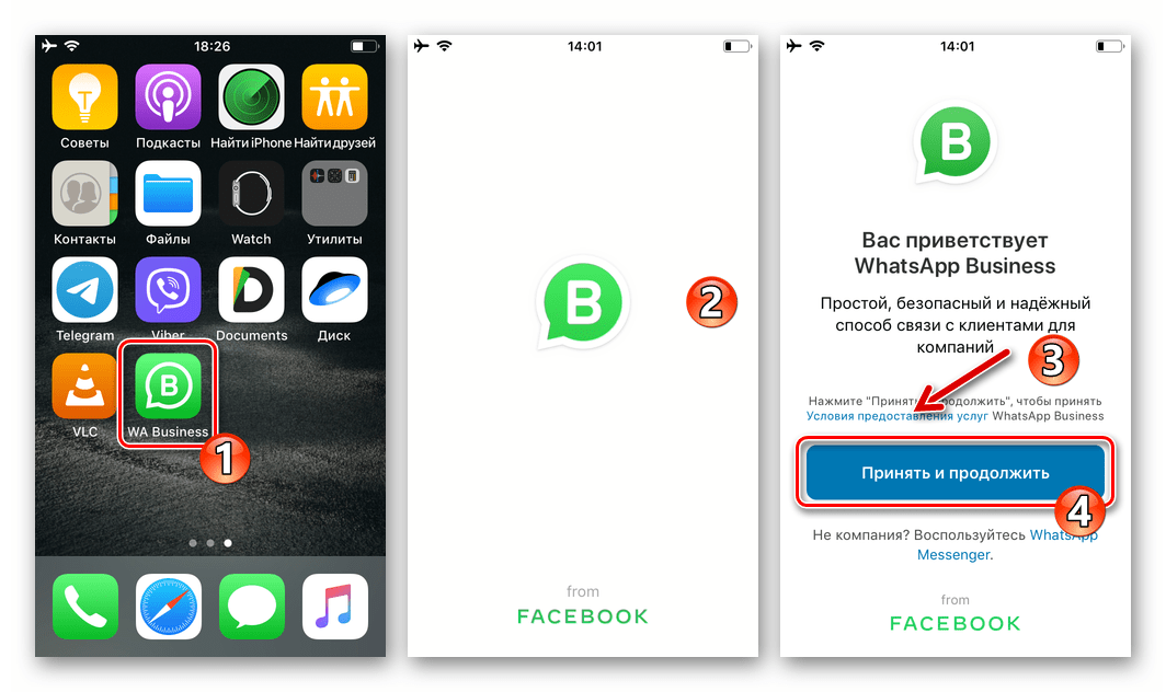 WhatsApp Business для iOS первый запуск программы на iPhone