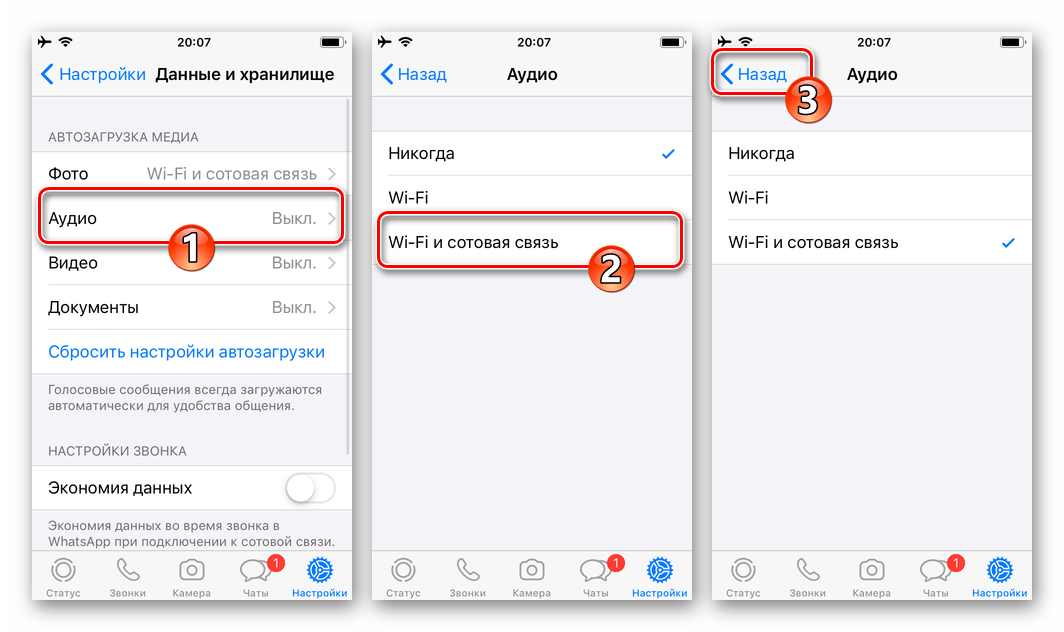WhatsApp для iPhone активация загрузки Аудио через Wi-Fi и сотовые сети передачи данных