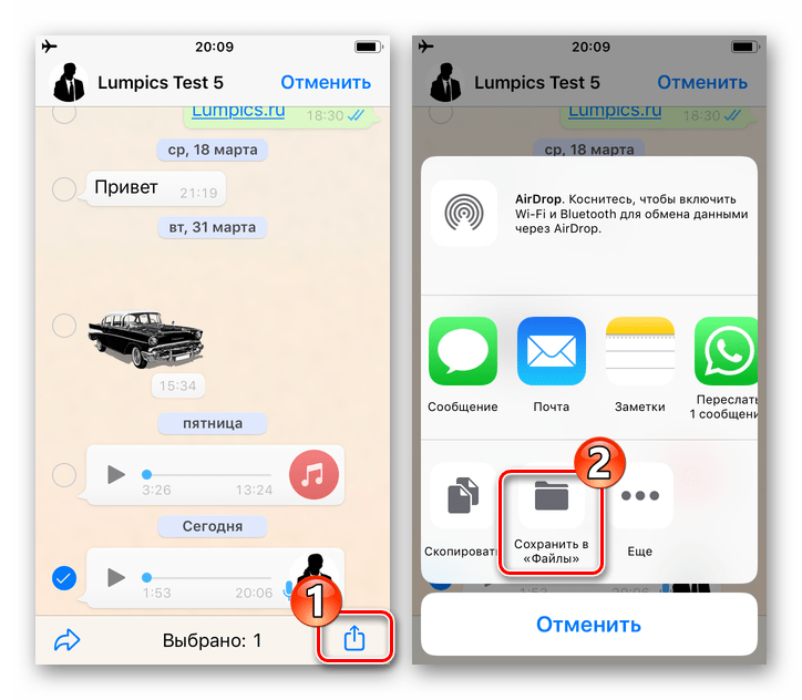 WhatsApp для iOS вызов меню Передать применимо к аудиозаписи из чата, пункт Сохранить в Файлы