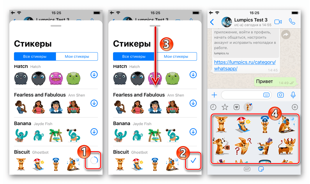 WhatsApp для iPhone процесс скачивания стикерпака в мессенджер и его завершение