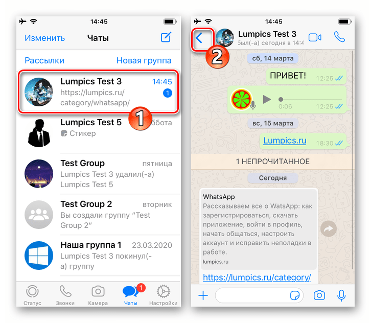 WhatsApp для iOS выход из диалога или группы которую нужно сделать непрочитанной в раздел Чаты мессенджера