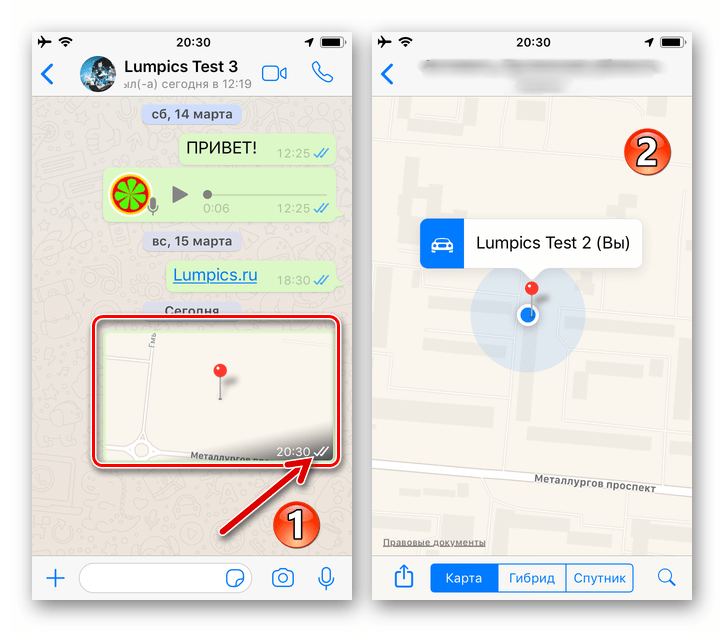 WhatsApp для iOS -данные о местоположении отправлены другому участнику мессенджера