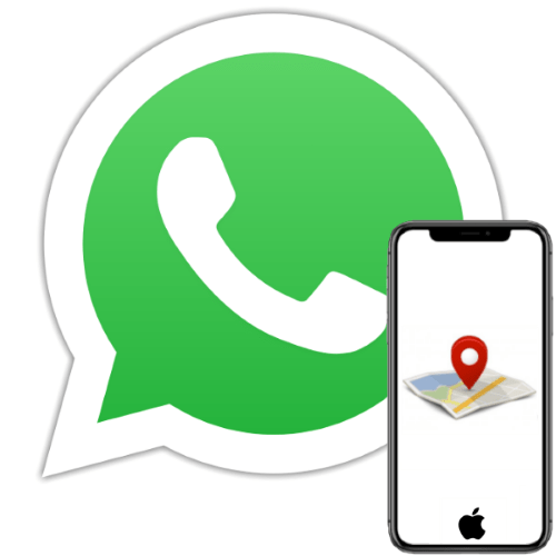 Как скинуть геолокацию по WhatsApp с айФона