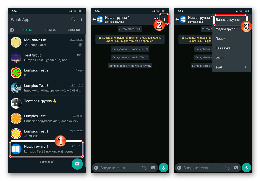 WhatsApp для Android переход в настройки группового чата - Данные группы