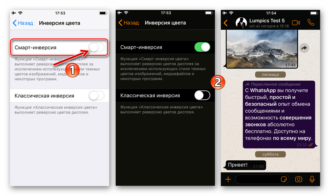 WhatsApp для iPhone - активация смарт-инверсии в iOS и эффект ее применения в мессенджере