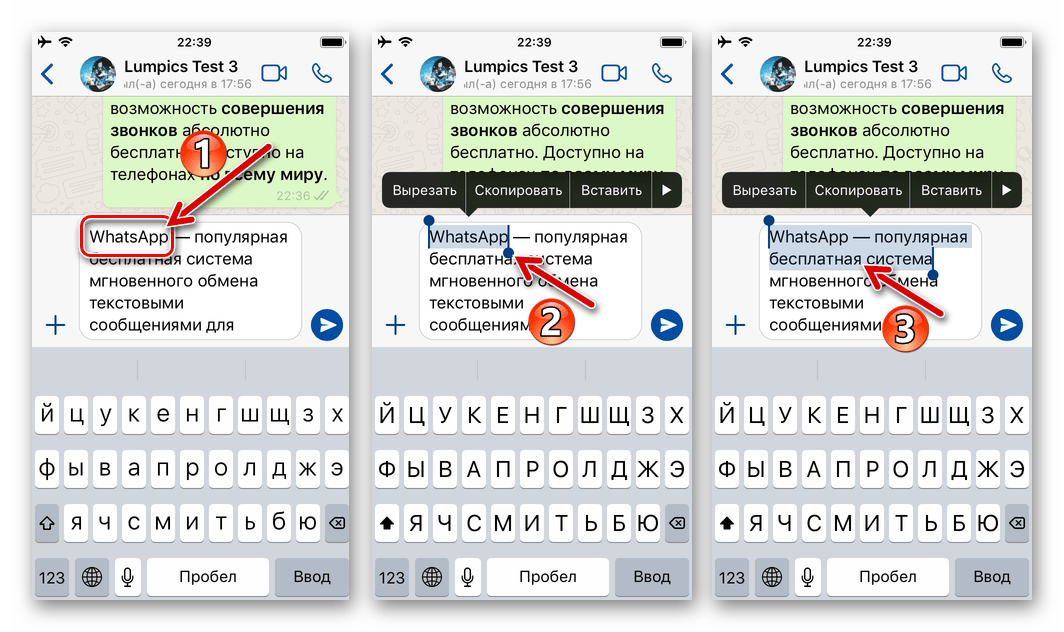WhatsApp для iOS выделение фрагмента текста в формируемом сообщении, чтобы применить форматирование жирным шрифтом