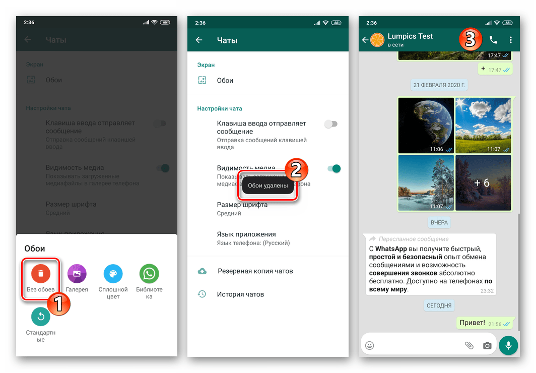 WhatsApp для Android - активация режима Без обоев для чатов в мессенджере