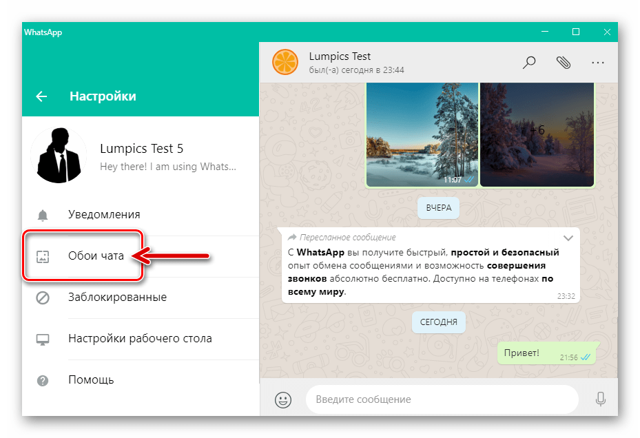 WhatsApp для Windows пункт Обои чата в Настройках приложения