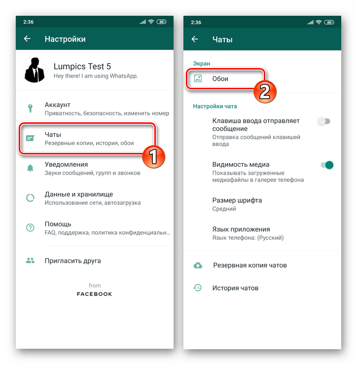 WhatsApp для Android - Настройки мессенджера - Чаты - Обои чатов
