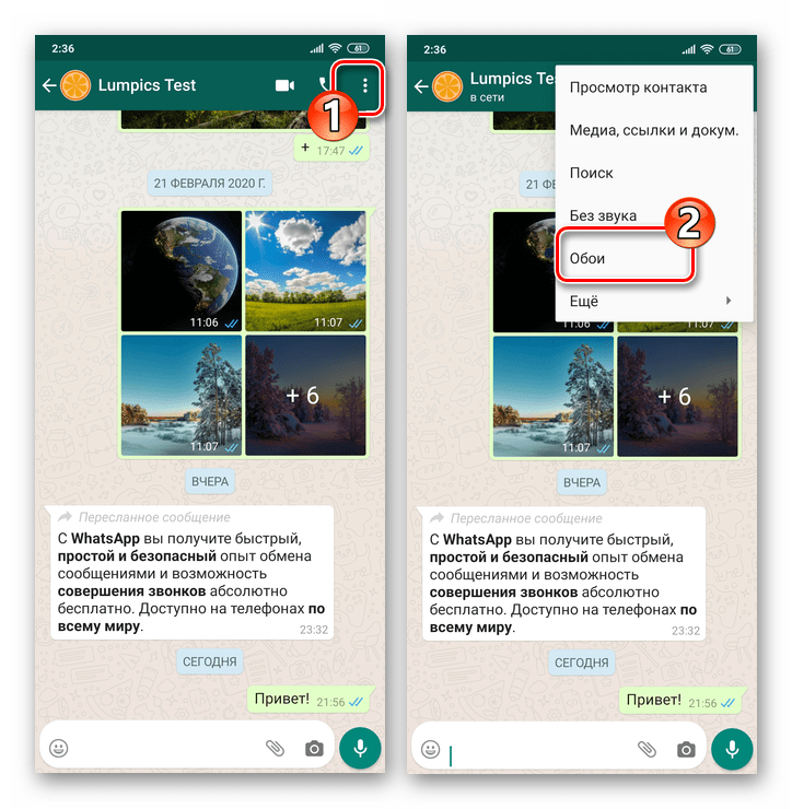 WhatsApp для Android - вызов меню индивидуального или группового чата - пункт Обои