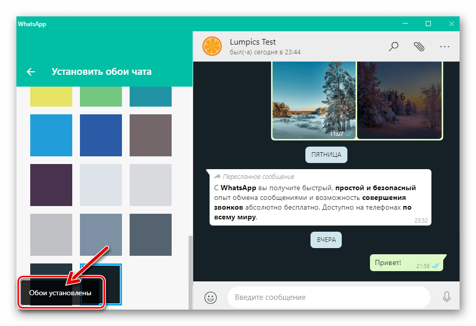 WhatsApp для Windows установка цвета фона для всех индивидуальных и групповых чатов, открытых в мессенджере
