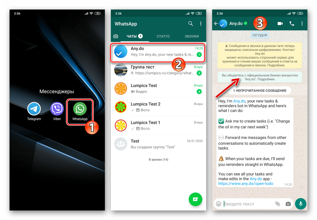 Any.Do - бот сервиса в мессенджере WhatsApp