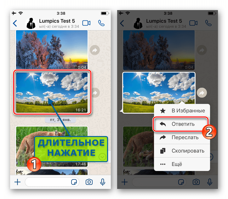WhatsApp для iOS вызов контекстного меню сообщения в чате - пункт Ответить