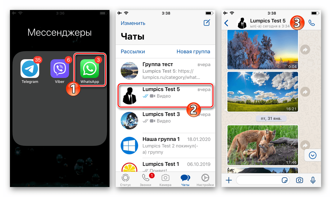 WhatsApp для iOS запуск мессенджера, переход в переписку с сообщением для ответа