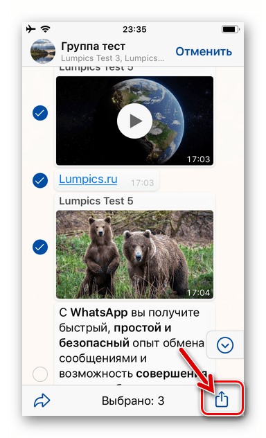 WhatsApp для iPhone значок Поделиться на экране чата с выделенными сообщениями