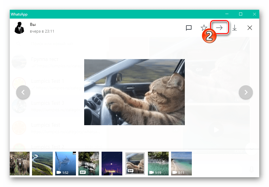 WhatsApp для Windows кнопка Переслать в другой чат в окне полноразмерного просмотра контента